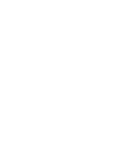 Native iOS